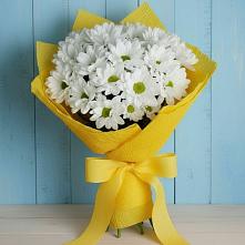 Букет цветов из:  Хризантемы в Ишимбае
