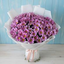 Букет цветов из:  Хризантемы в Ишимбае