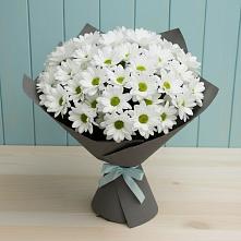 Букет цветов из:  Хризантемы #REPLACE_PRED# Ишимбае