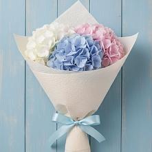 Букет цветов из:  Гортензия в Ишимбае