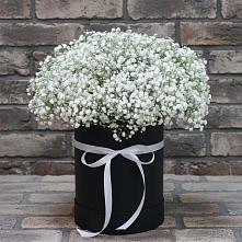 Цветочная композиция из Гипсофила в шляпной коробке в Ишимбае