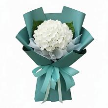 Букет цветов из:  Гортензия в Ишимбае